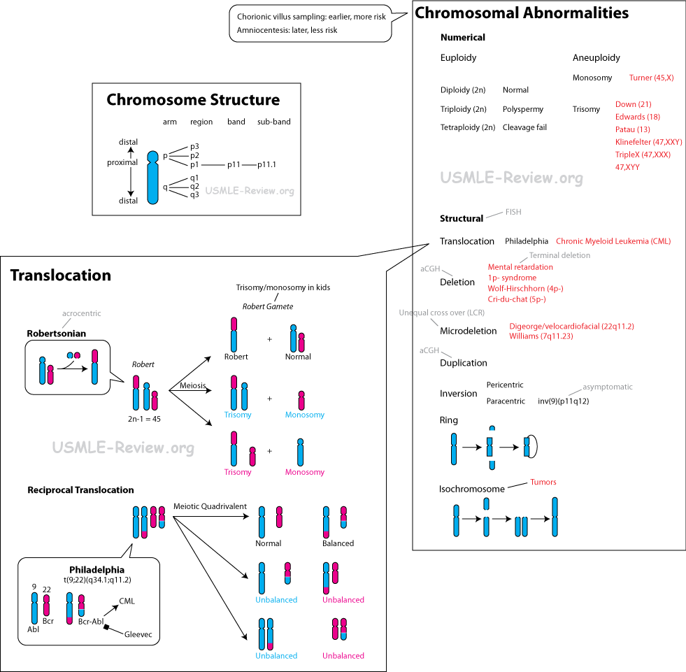 chromosomal abnormalities pictures