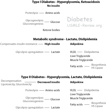 diabetes I, II and metabolic syndrome
