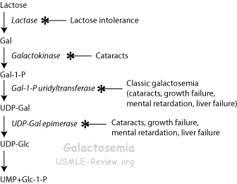 galactosemia